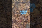 경북수목원은 사랑이 시작되었다!