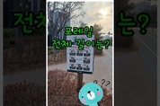 포레일 전체 길이는?