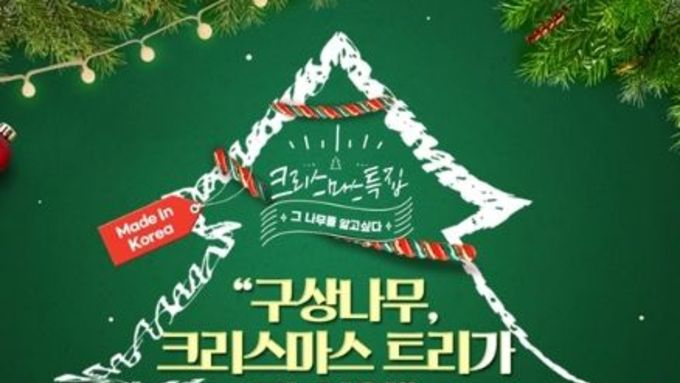 산림청, 구상나무, 크리스마스 트리가 된 사연