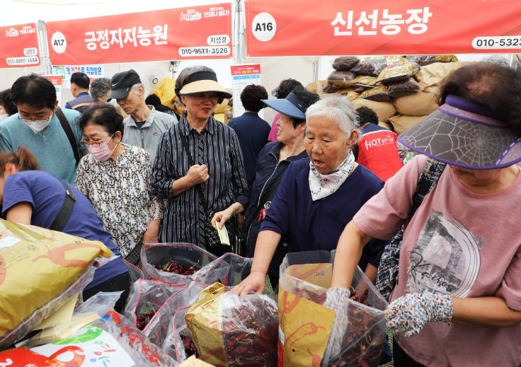 영양군, 2024 영양고추 H.O.T Festival 여름의 끝에서!!