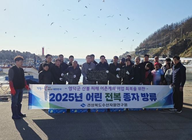 어린 전복 15만 마리 방류