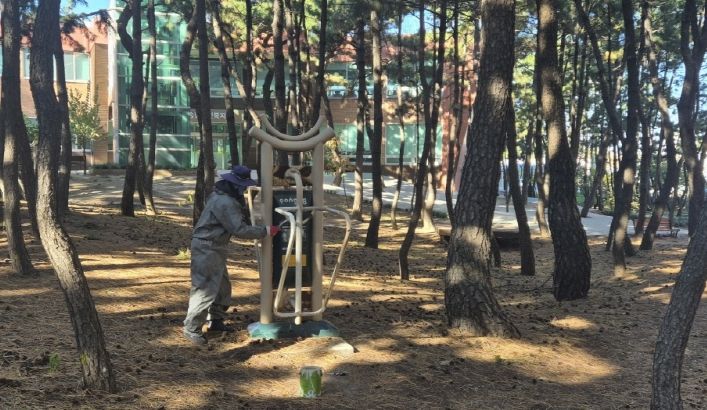 종려나무 월동 준비