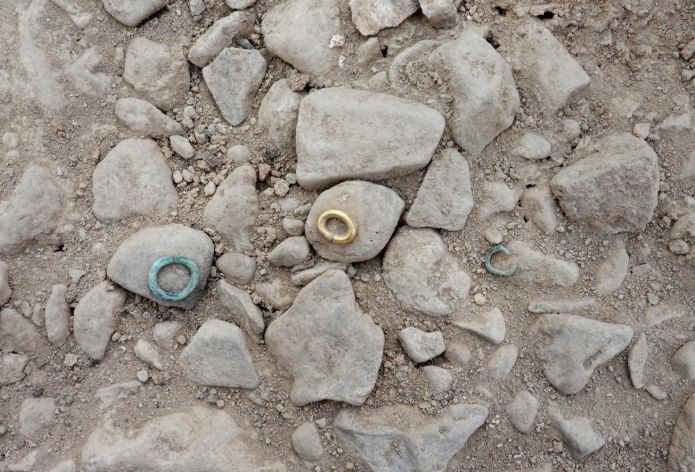 청송 양숙리 고분 발굴조사 현장공개회